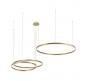 Подвесной светильник Loft IT Ring 10017/3M