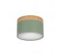 Накладной светильник Loft IT Grape 10162 Green
