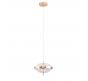 Светильник подвесной Arte Lamp Andromeda A2089SP-6GO