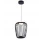 Светильник подвесной Arte Lamp Flare A3528SP-12BK