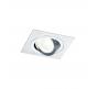 Поворотный светильник Maytoni Atom DL024-2-01S
