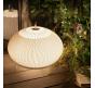 Настольный светильник Divinare Firefly 1808/33 TL-50
