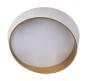 Потолочный светильник Loft IT Coin 10199 White