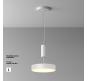 Потолочный светильник Maytoni Technical Ceiling 3000K Zon C032CL-36W3K-RD-W